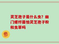 灵芝孢子是什么虫？幽门螺杆菌怕灵芝孢子粉和虫草吗