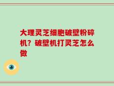 大理灵芝细胞破壁粉碎机？破壁机打灵芝怎么做