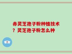 赤灵芝孢子粉种植技术？灵芝孢子粉怎么种