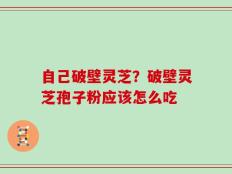 自己破壁灵芝？破壁灵芝孢子粉应该怎么吃