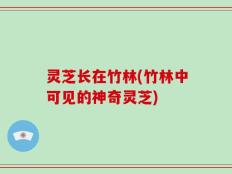 灵芝长在竹林(竹林中可见的神奇灵芝)