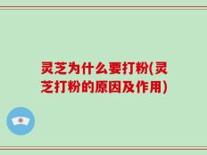 灵芝为什么要打粉(灵芝打粉的原因及作用)