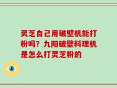灵芝自己用破壁机能打粉吗？九阳破壁料理机是怎么打灵芝粉的