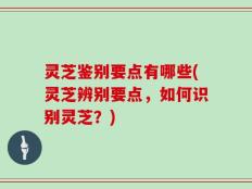 灵芝鉴别要点有哪些(灵芝辨别要点，如何识别灵芝？)