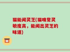猫能闻灵芝(猫嗅觉灵敏度高，能闻出灵芝的味道)