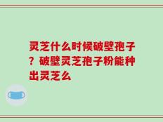 灵芝什么时候破壁孢子？破壁灵芝孢子粉能种出灵芝么