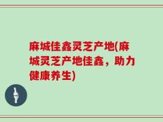 麻城佳鑫灵芝产地(麻城灵芝产地佳鑫，助力健康养生)