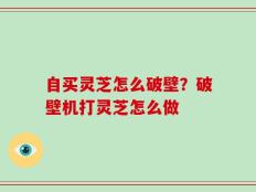 自买灵芝怎么破壁？破壁机打灵芝怎么做