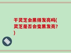 干灵芝会黑得发亮吗(灵芝是否会变黑发亮？)