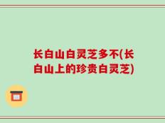 长白山白灵芝多不(长白山上的珍贵白灵芝)