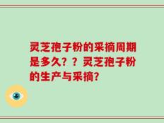灵芝孢子粉的采摘周期是多久？？灵芝孢子粉的生产与采摘？