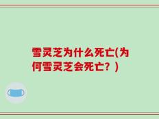 雪灵芝为什么死亡(为何雪灵芝会死亡？)