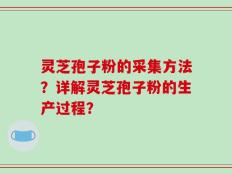 灵芝孢子粉的采集方法？详解灵芝孢子粉的生产过程？