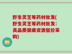 野生灵芝等药材批发(野生灵芝等药材批发：高品质健康资源低价采购)