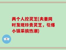 两个人挖灵芝(夫妻同时发现珍贵灵芝，引爆小镇采摘热潮)