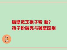 破壁灵芝孢子粉 脑？孢子粉破壳与破壁区别