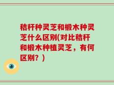 秸秆种灵芝和椴木种灵芝什么区别(对比秸秆和椴木种植灵芝，有何区别？)