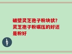 破壁灵芝孢子粉块状？灵芝孢子粉碾压的好还是粉好