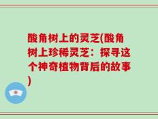 酸角树上的灵芝(酸角树上珍稀灵芝：探寻这个神奇植物背后的故事)
