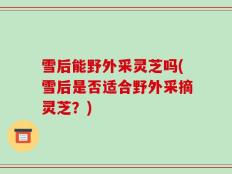 雪后能野外采灵芝吗(雪后是否适合野外采摘灵芝？)