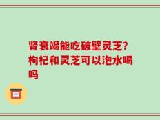 肾衰竭能吃破壁灵芝？枸杞和灵芝可以泡水喝吗