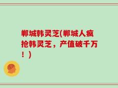 郸城韩灵芝(郸城人疯抢韩灵芝，产值破千万！)