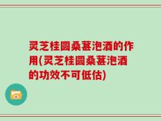 灵芝桂圆桑葚泡酒的作用(灵芝桂圆桑葚泡酒的功效不可低估)