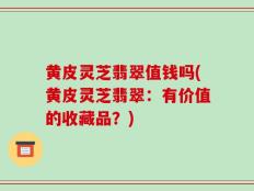 黄皮灵芝翡翠值钱吗(黄皮灵芝翡翠：有价值的收藏品？)