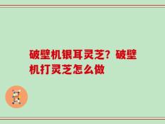 破壁机银耳灵芝？破壁机打灵芝怎么做