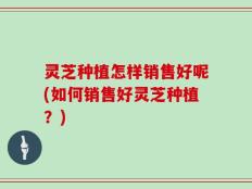 灵芝种植怎样销售好呢(如何销售好灵芝种植？)