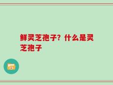 鲜灵芝孢子？什么是灵芝孢子