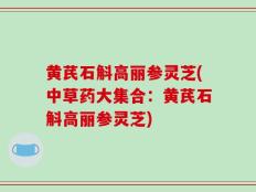 黄芪石斛高丽参灵芝(中草药大集合：黄芪石斛高丽参灵芝)