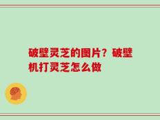 破壁灵芝的图片？破壁机打灵芝怎么做