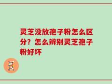 灵芝没放孢子粉怎么区分？怎么辨别灵芝孢子粉好坏
