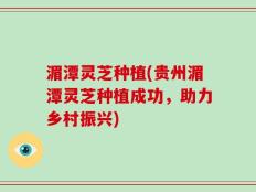 湄潭灵芝种植(贵州湄潭灵芝种植成功，助力乡村振兴)