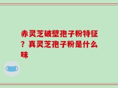 赤灵芝破壁孢子粉特征？真灵芝孢子粉是什么味