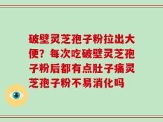 破壁灵芝孢子粉拉出大便？每次吃破壁灵芝孢子粉后都有点肚子痛灵芝孢子粉不易消化吗