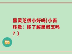 黑灵芝很小好吗(小而珍贵：你了解黑灵芝吗？)