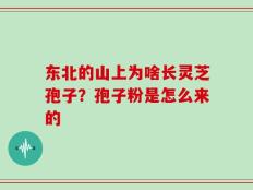 东北的山上为啥长灵芝孢子？孢子粉是怎么来的