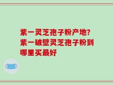 紫一灵芝孢子粉产地？紫一破壁灵芝孢子粉到哪里买最好