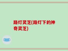 路灯灵芝(路灯下的神奇灵芝)