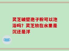 灵芝破壁孢子粉可以泡浴吗？灵芝放在水里是沉还是浮