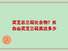 灵芝总三萜化合物？长白山灵芝三萜高达多少