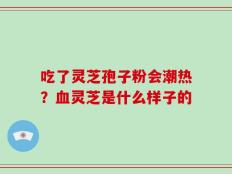 吃了灵芝孢子粉会潮热？血灵芝是什么样子的