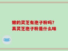 嫩的灵芝有孢子粉吗？真灵芝孢子粉是什么味
