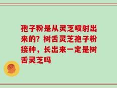 孢子粉是从灵芝喷射出来的？树舌灵芝孢子粉接种，长出来一定是树舌灵芝吗