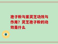 孢子粉与紫灵芝功效与作用？灵芝孢子粉的功效是什么