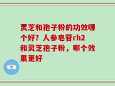 灵芝和孢子粉的功效哪个好？人参皂苷rh2和灵芝孢子粉，哪个效果更好