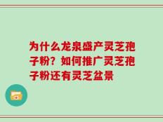 为什么龙泉盛产灵芝孢子粉？如何推广灵芝孢子粉还有灵芝盆景
