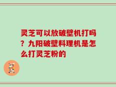 灵芝可以放破壁机打吗？九阳破壁料理机是怎么打灵芝粉的